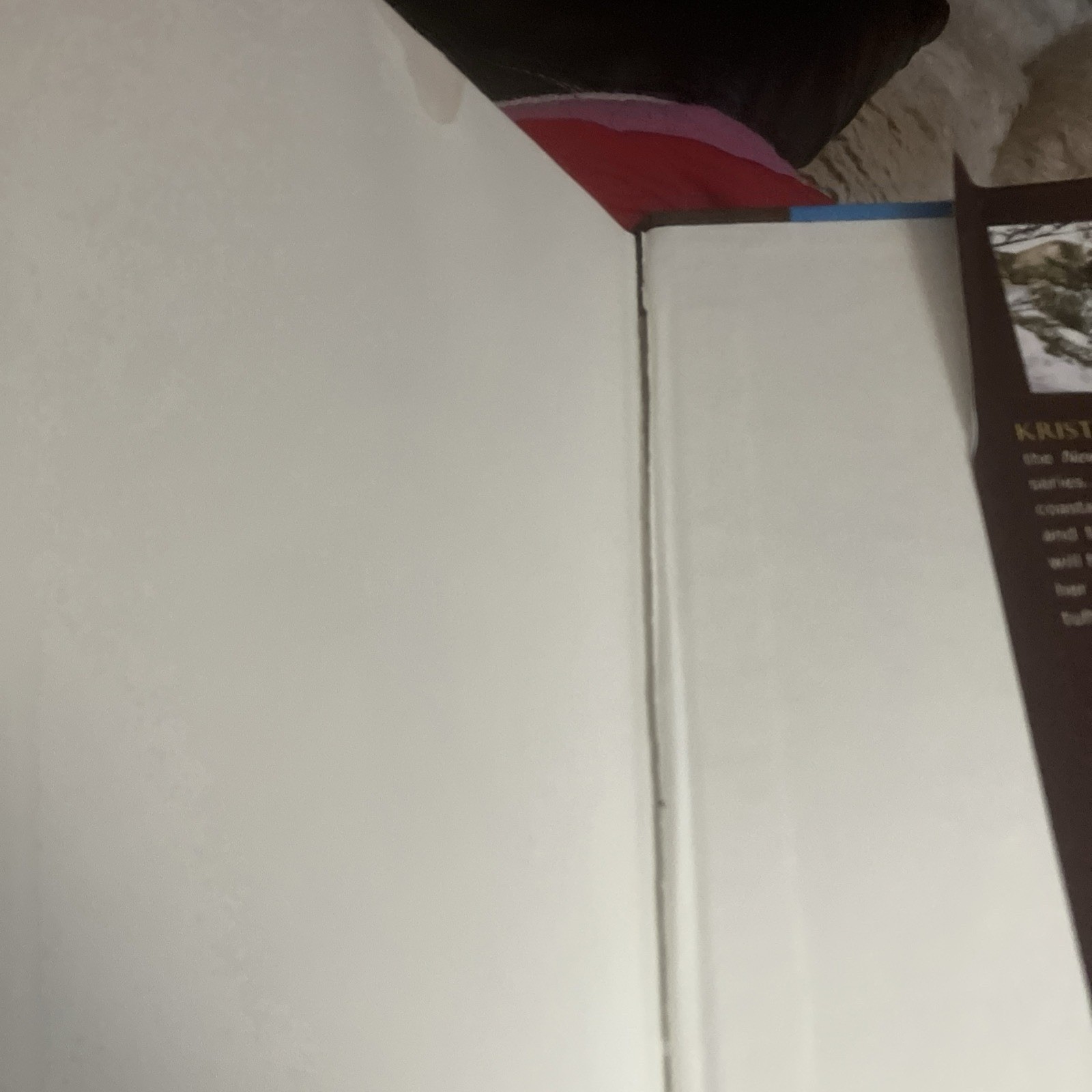 Winterlight by Kristen Britain (2021, Hardcover)