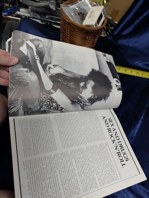 Rock ’n‘ Roll Babylon Gary Herman Paperback Music History Book
