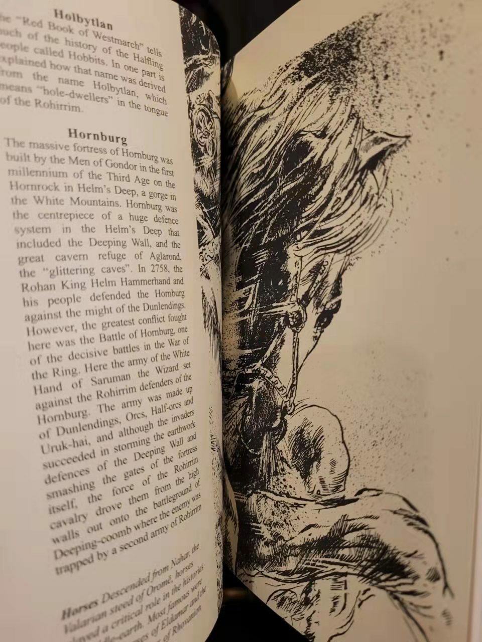 A DICTIONARY OF TOLKIEN David Day Illustrated Guide Flexi Bound Faux Leather NEW