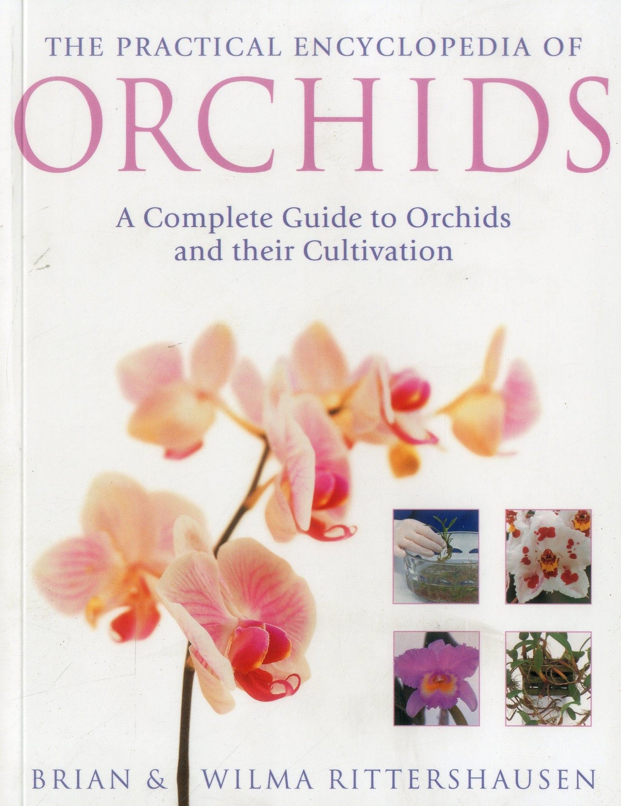 The Practical Illustrated Encyclopedia of Orchids: A Complete Guide To Orchi…