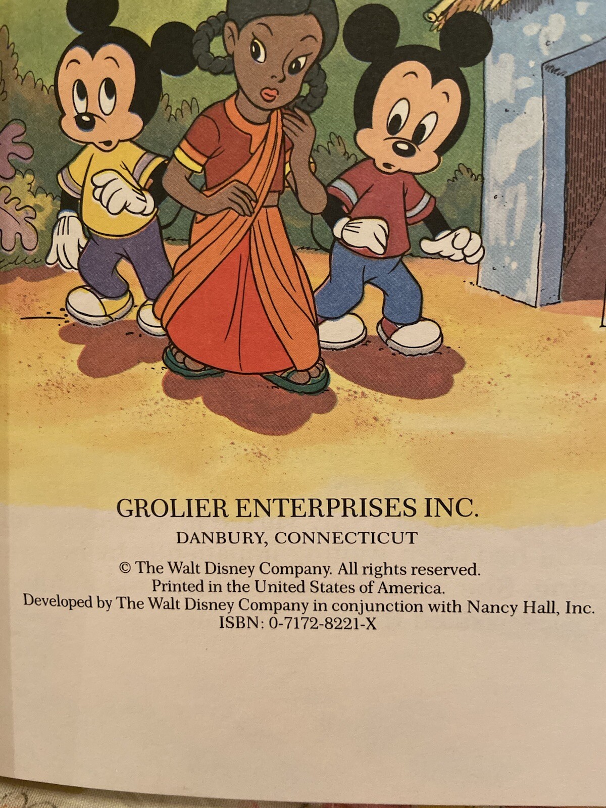 A VERY SPECIAL NEW YEAR: AN ADVENTURE IN INDIA, DISNEY’S SMALL WORLD LIBRARY