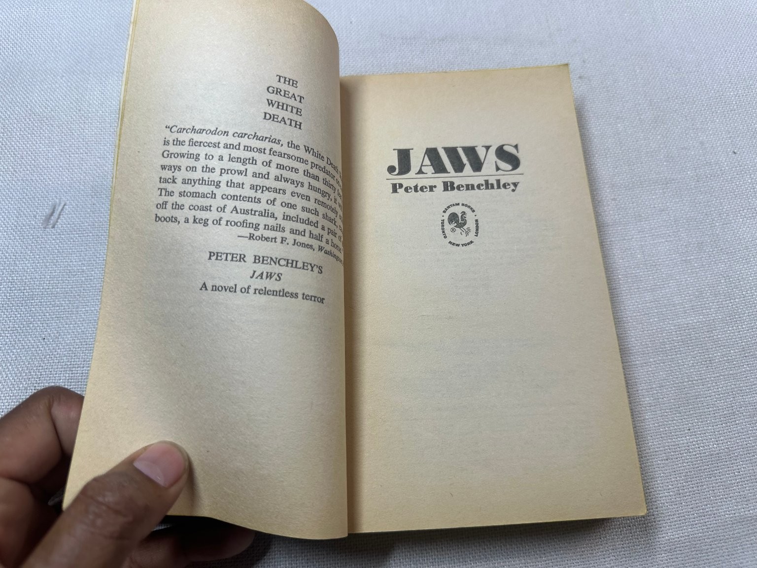 Jaws Peter Benchley 1975 Bantam Edition Thriller Novel Shark Classic