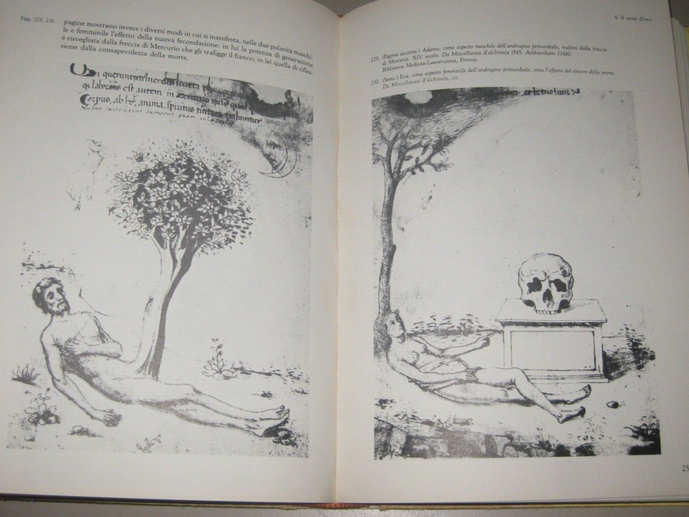 Le Figure del Mito – Joseph Campbell, mythology, 422 illustrations