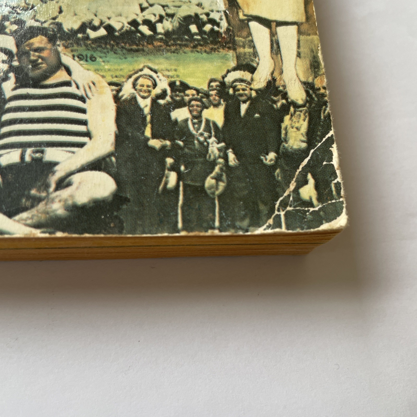 Babe Ruth & The American Dream (1974)Ken Sobol / Paperback – 269 Pages