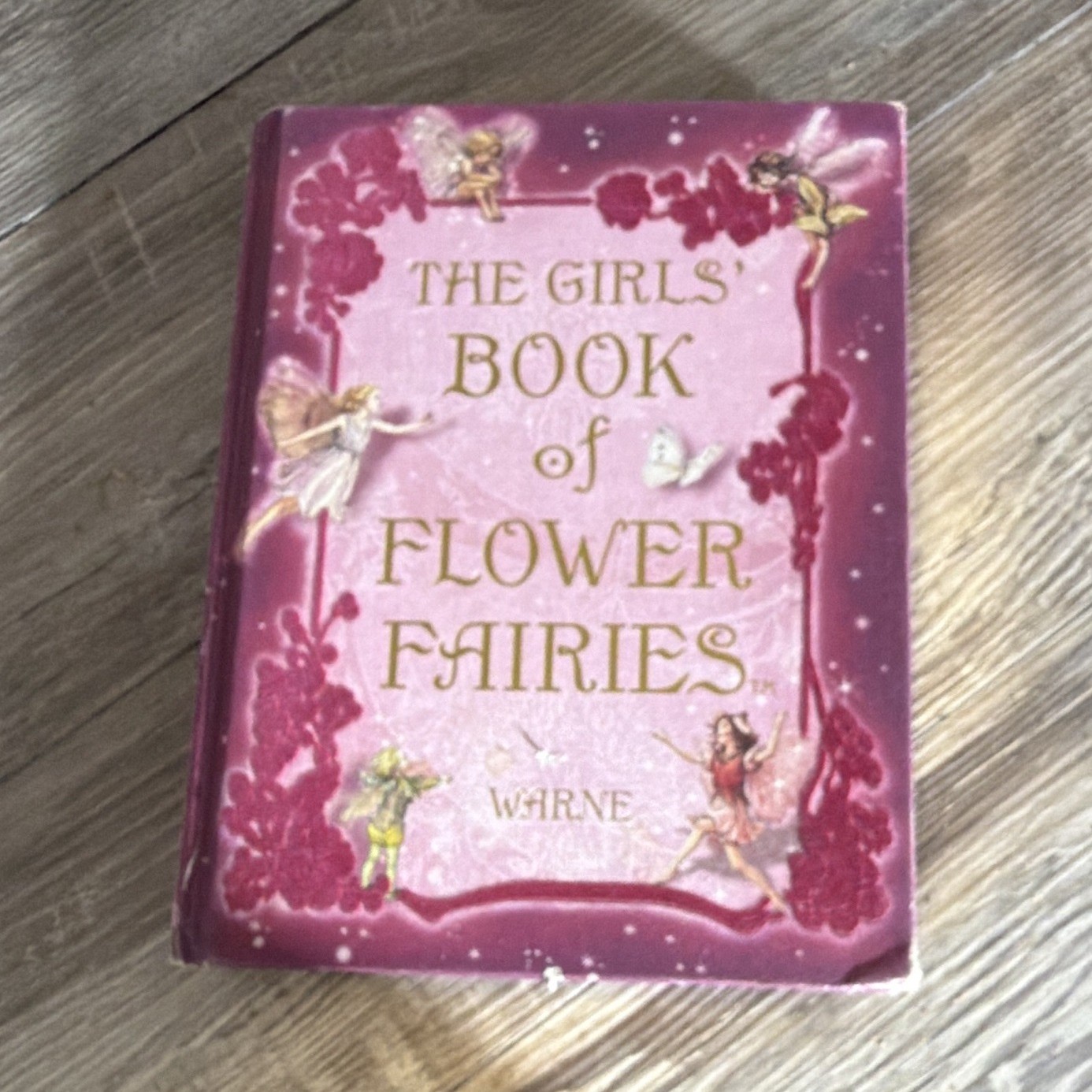 Warne The Girls‘ Book of Flower Fairies Hardcover Book English Very Good