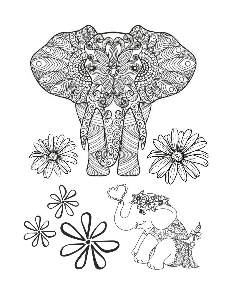 Best Elephants Coloring Book save the Lions 108 Pages 8.5 x 11 for All Ages