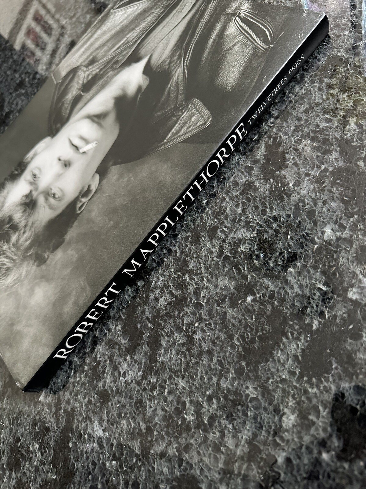 Robert Mapplethorpe Certain People by Susan Sontag 1985 Hardcover
