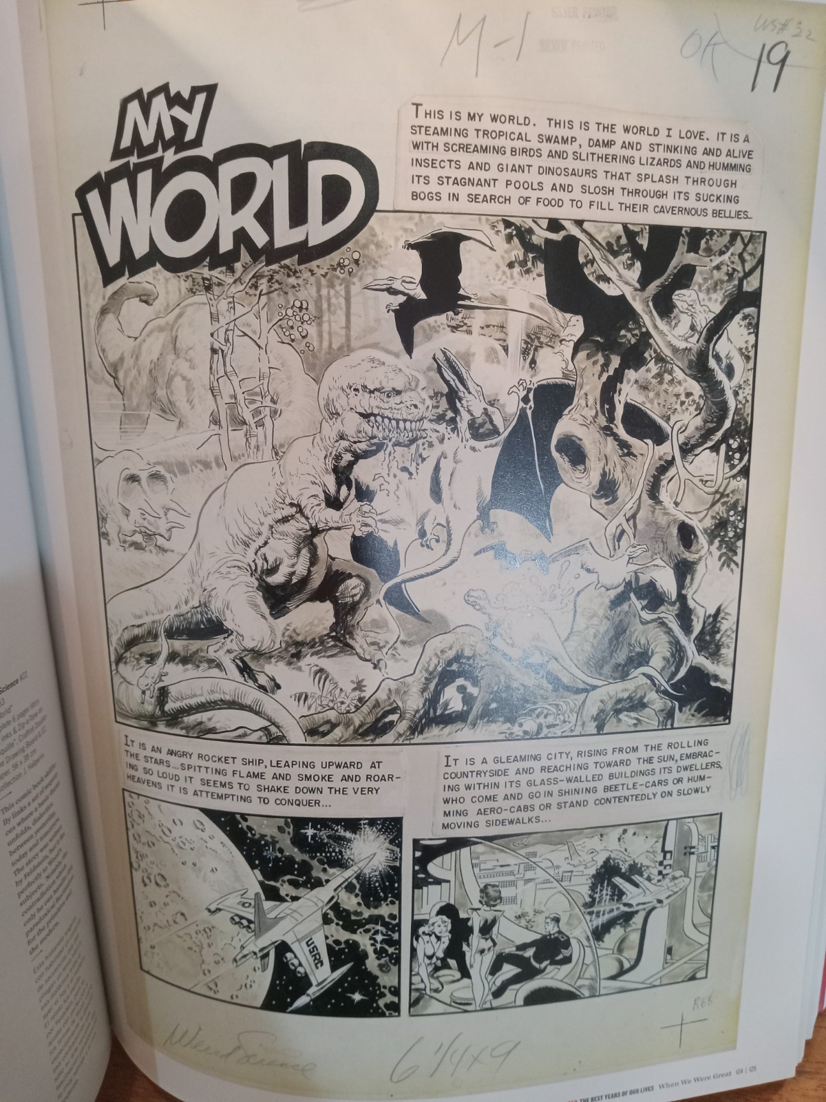 WALLACE WOOD 1927-1981 WOODWORK SALLY FORTH-WITZEND-EC COMICS-MASSIVE BOOK