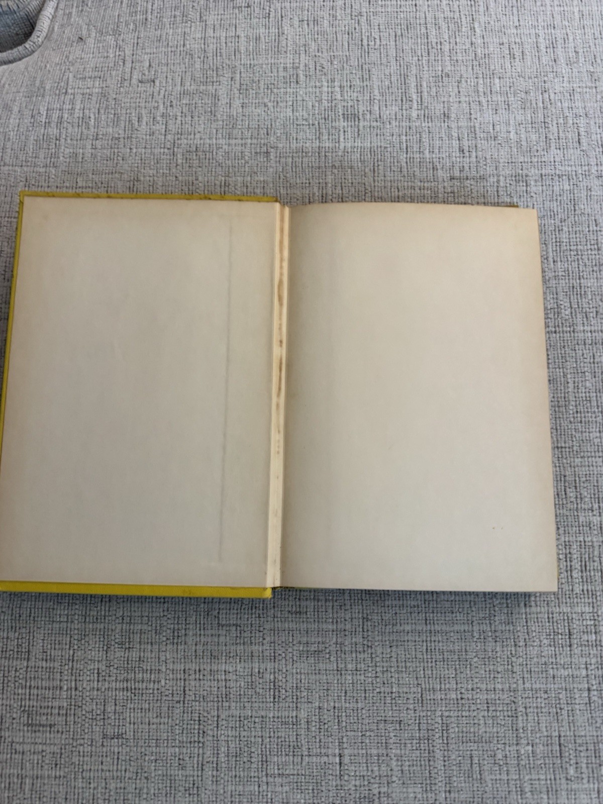Dangerous Island Helen Mather-Smith Mindlin 1956 Weekly Reader HC