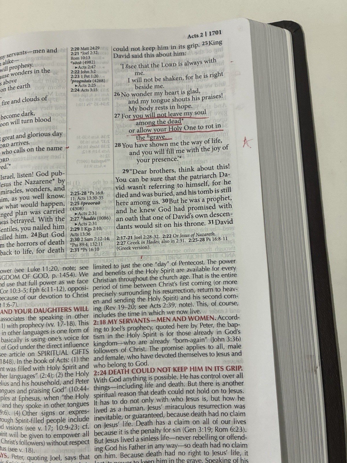 FIRE BIBLE New living Translation Chi Alpha Edition Leather Soft Cover