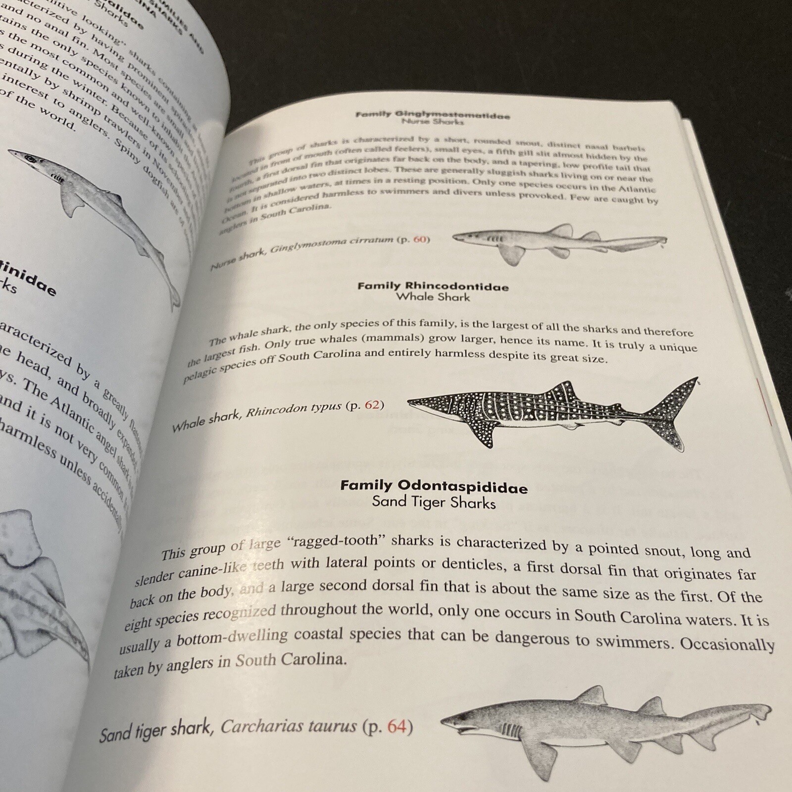 2004 SHARKS OF SOUTH CAROLINA BOOK by CHARLES H. FARMER, III, 144 PAGES, Illustr