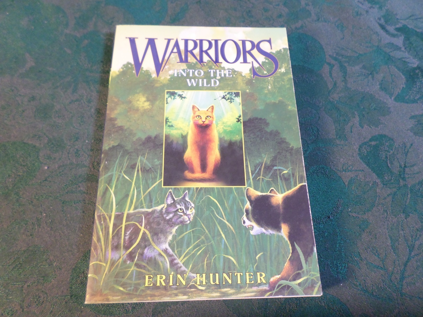 2004-3 Vol. Paperback Book Box Set-Warriors-Erin Hunter