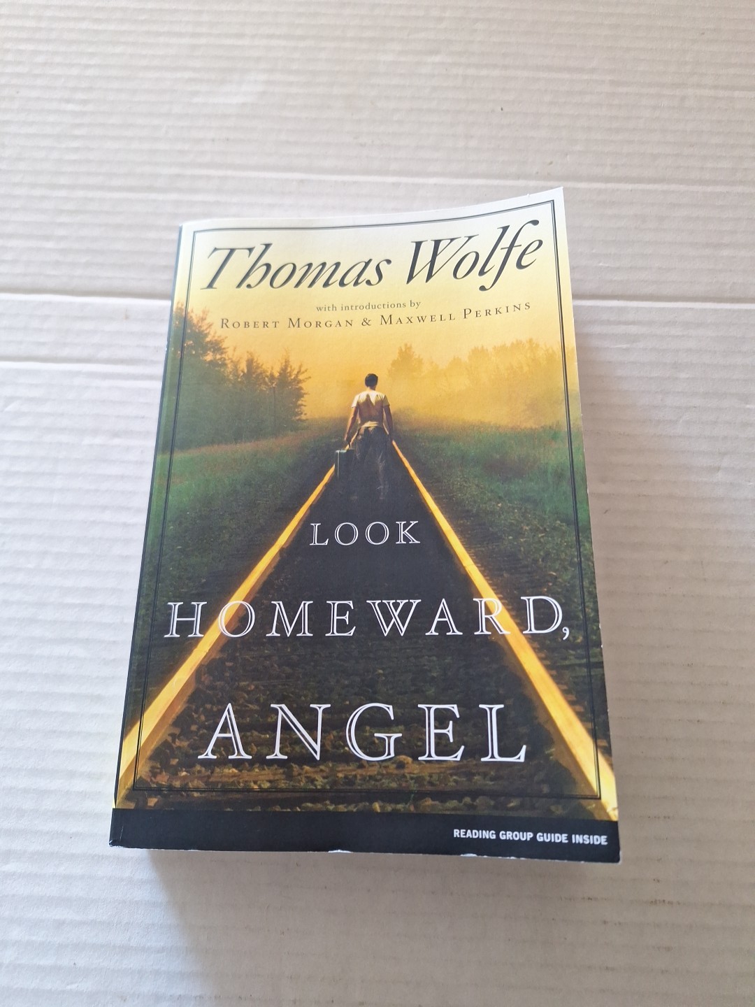 Look Homeward, Angel