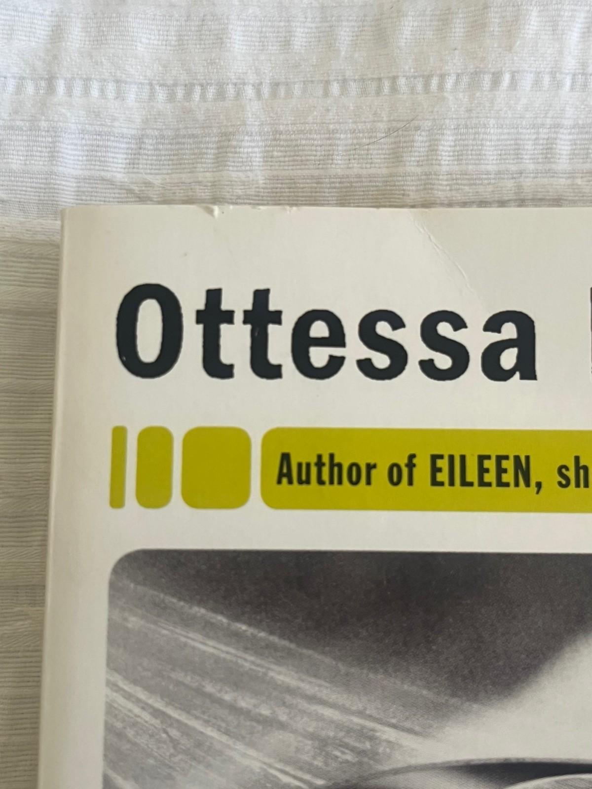 homesick for another world: stories – moshfegh ottessa (v good)