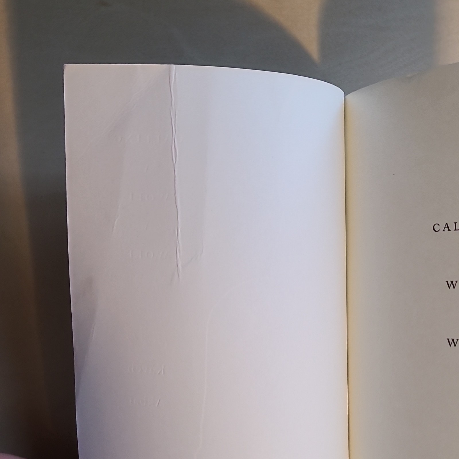 Poetry Bundle: Rumi & Kaveh Akbar: Essential Rumi, Calling a Wolf a Wolf