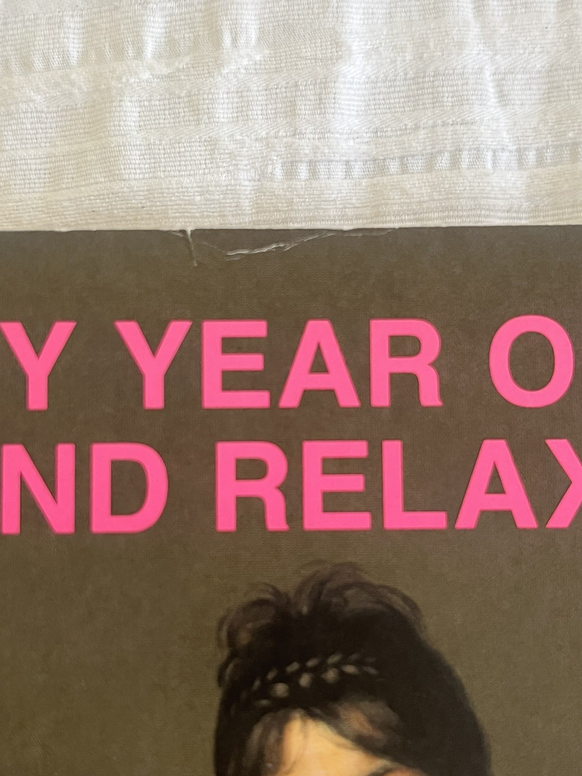 my year of rest and relaxation – moshfegh ottessa (v good)