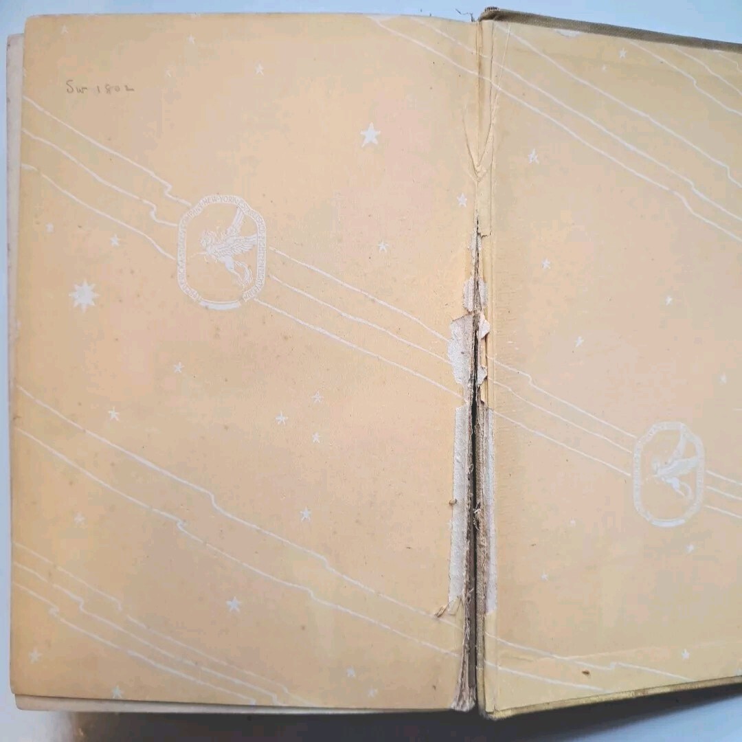 The Flutes Of Shanghai – Louise Jordan Miln – Frederick Stokes Co 1928 356 Pages