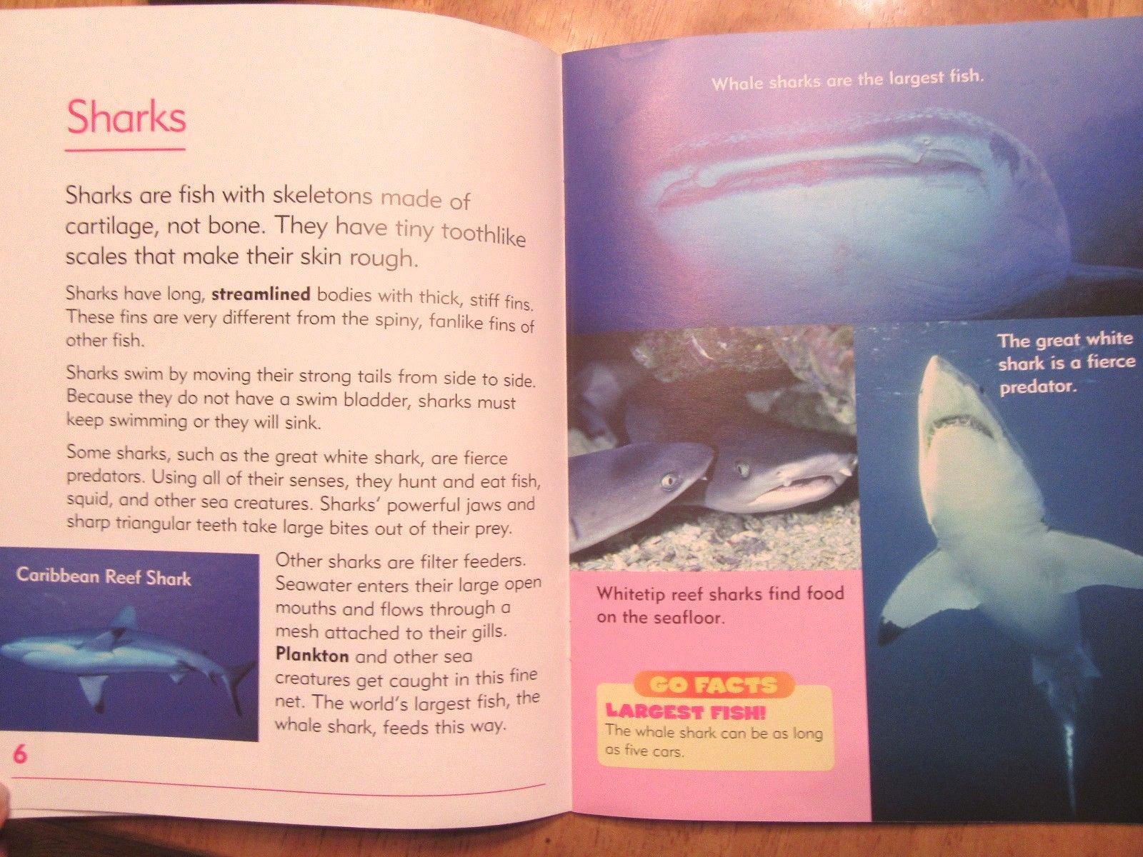 Lot of 2 NEW Go Facts Science: Sea Life & Flowers Newbridge Paperbacks Ages 6-9