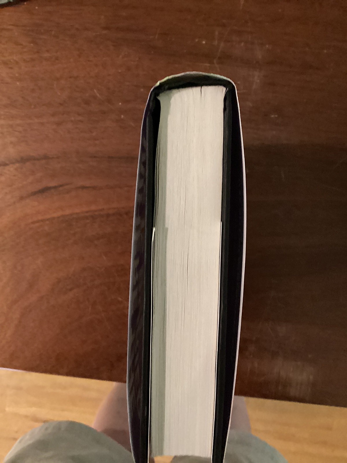Where the Axe Is Buried Ray Nayler (2025, HC) Like New SIGNED FIRST EDITION