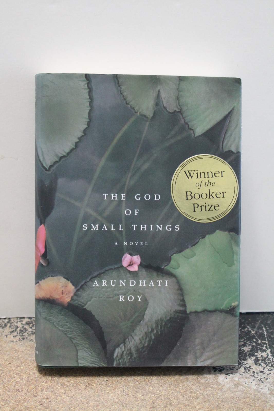 God of Small Things by Arundhati Roy (1997, Hardcover) Booker Prize winner