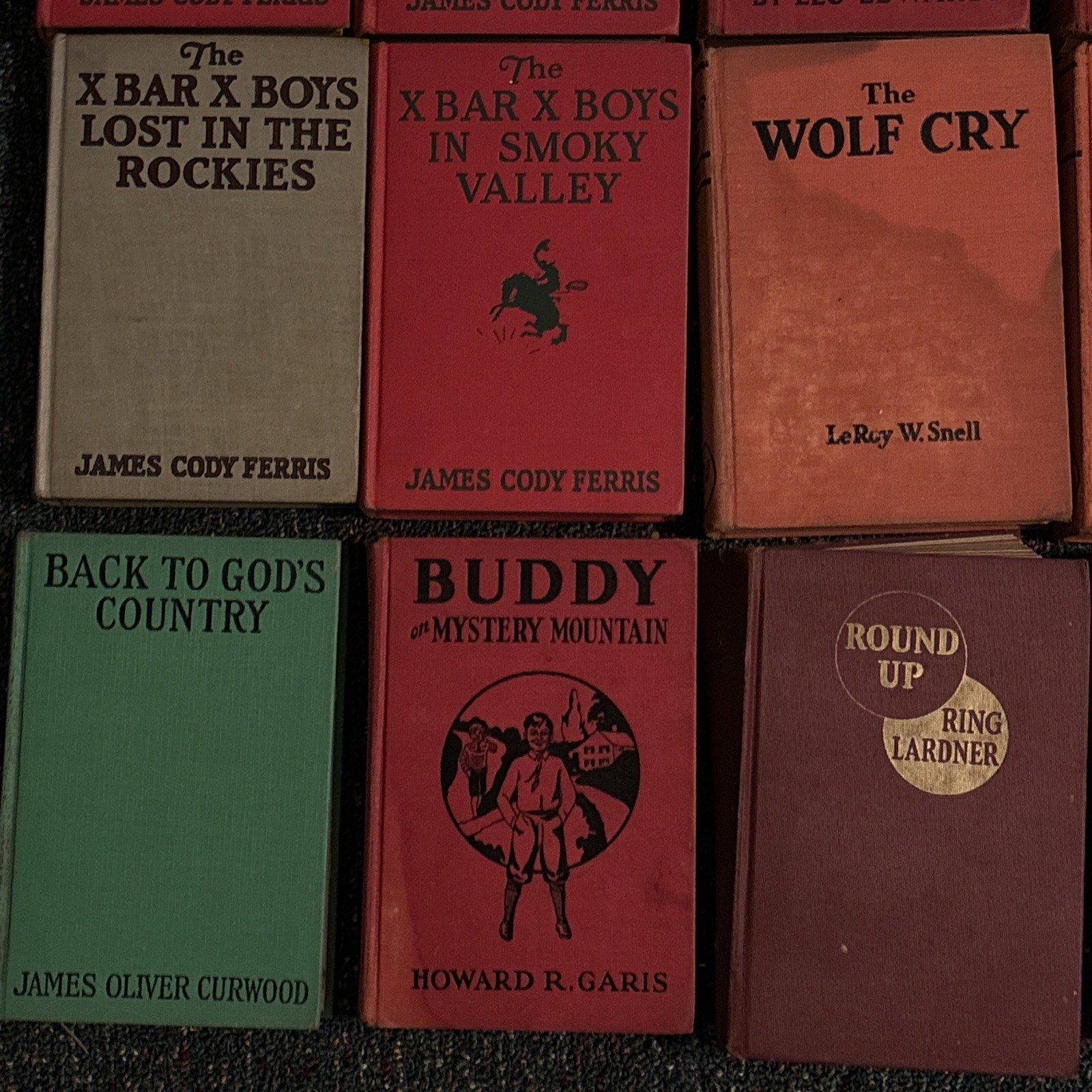 Lot of 24 Vintage Books for Boys 20’s 30’s Hardback Adventure Western Wilderness