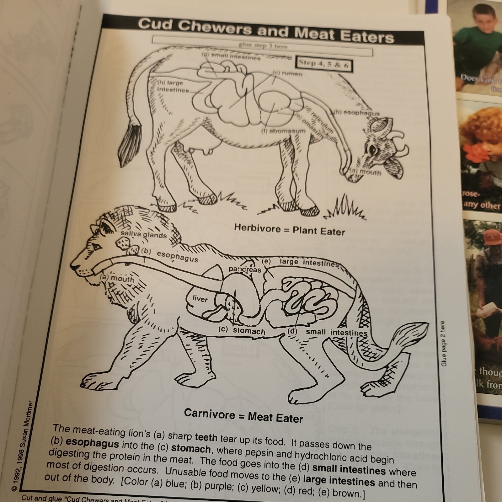 Christian Homeschool science Student Workbook & Teacher’s Manual. God’s creation