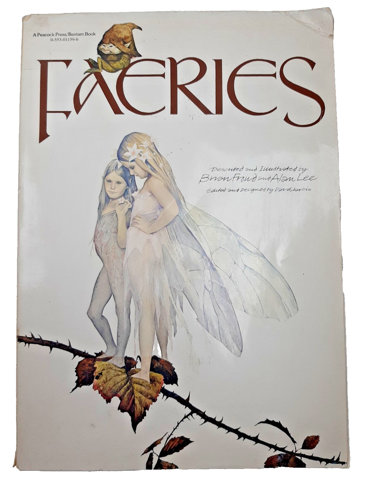 Vintage Faeries Book 1978 First Edition Printing Brian Froud Mythical Fairy Art