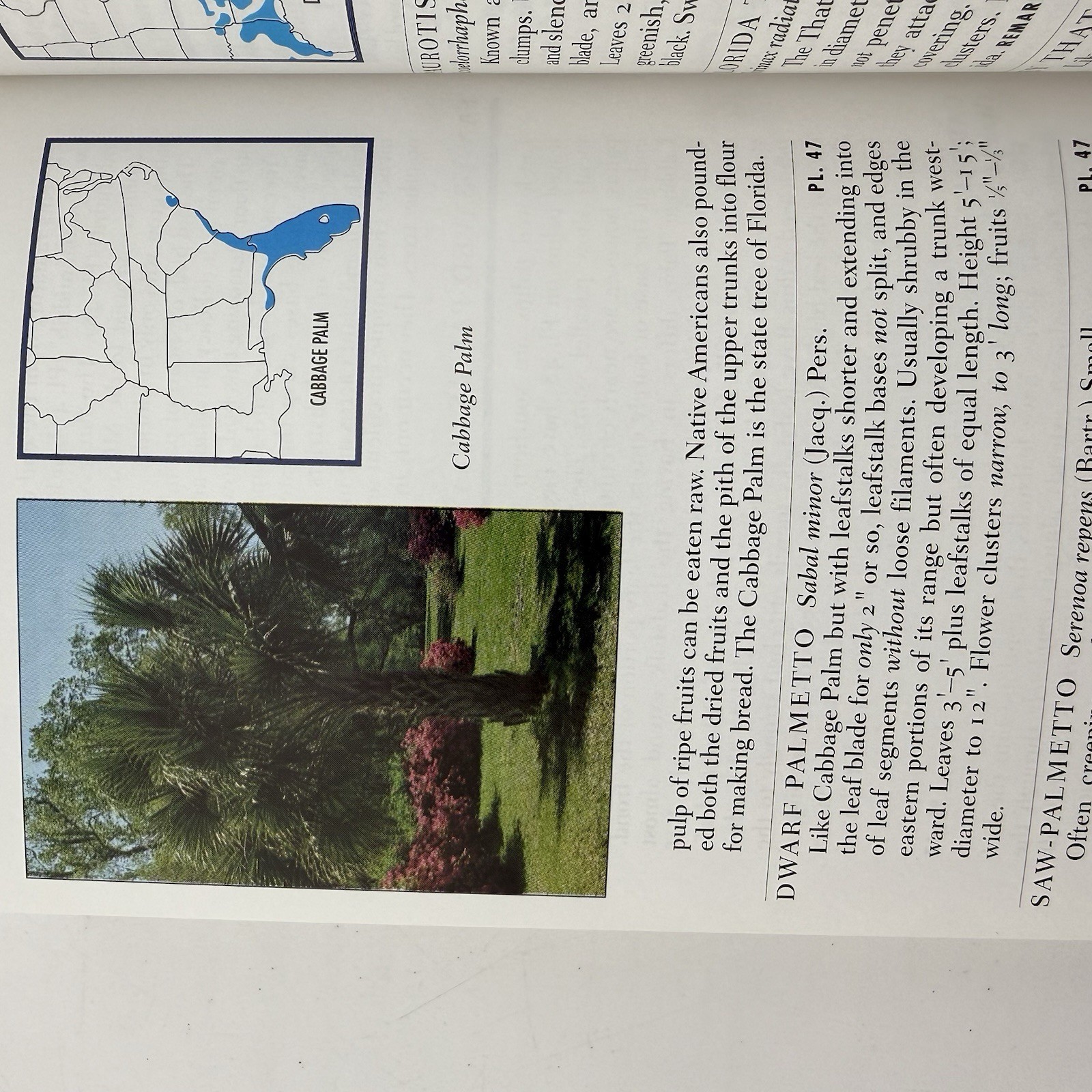 Peterson Field Guide to Eastern Trees George A. Petrides Janet Wehr