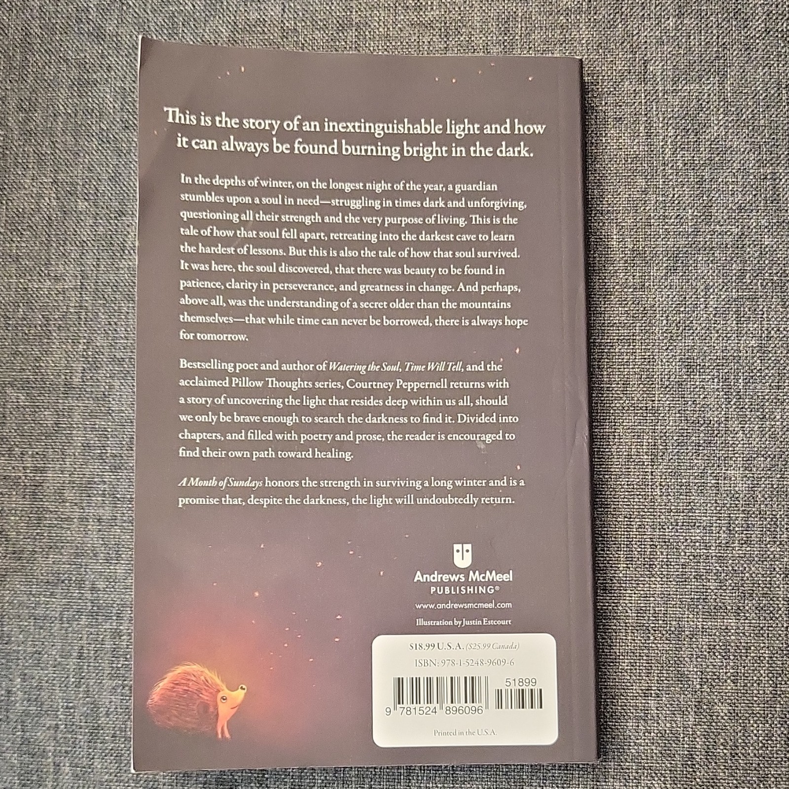 Courtney Peppernell A Month of Sundays Pillow Thoughts Paperback Poetry Healing