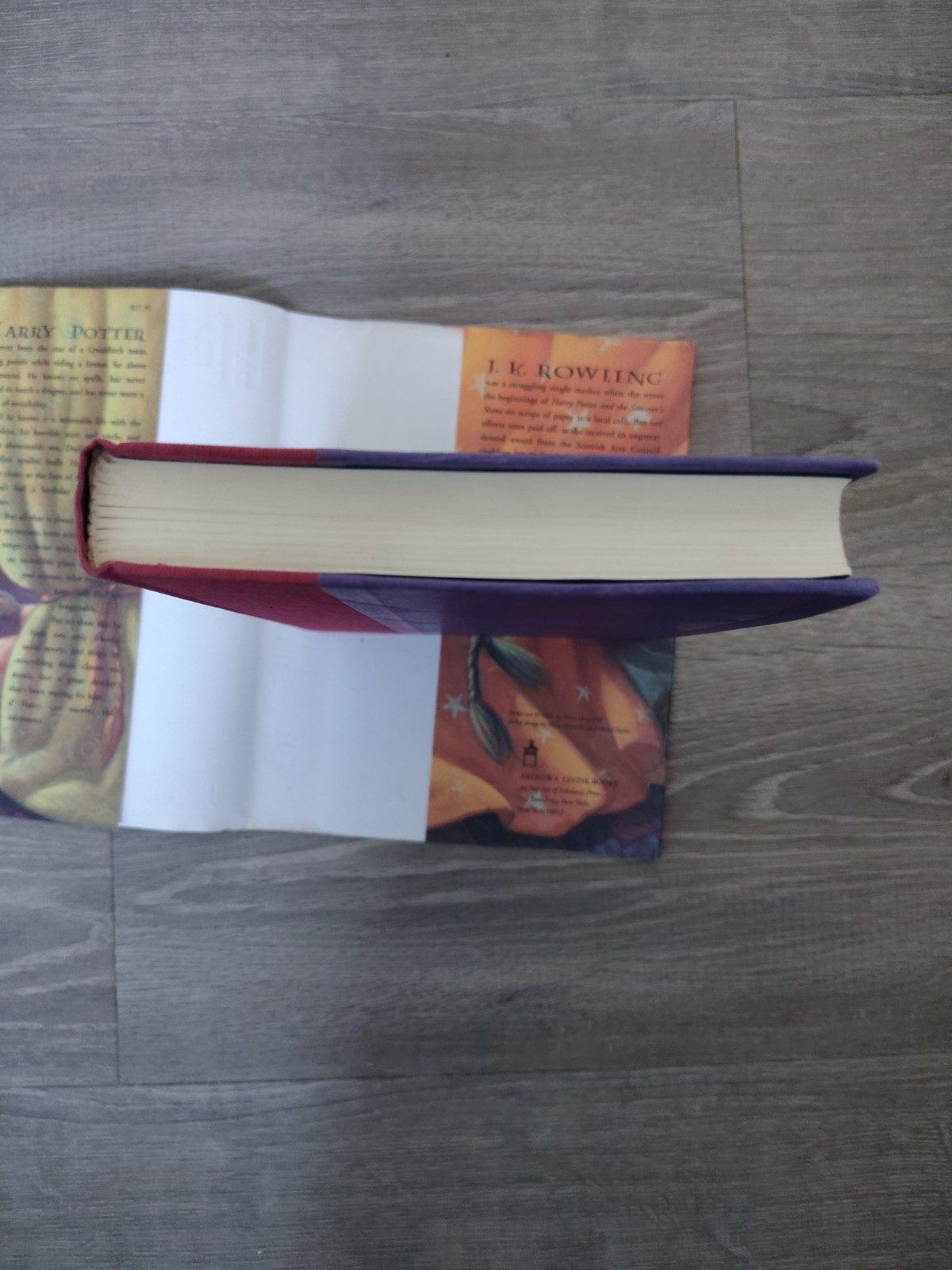 harry potter and the sorcerers stone First American Edition Hard Back
