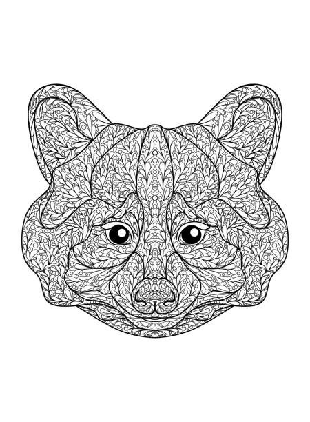 Raccoon and Friends Coloring Book 108 Pages 8.5 x 11 for All Ages