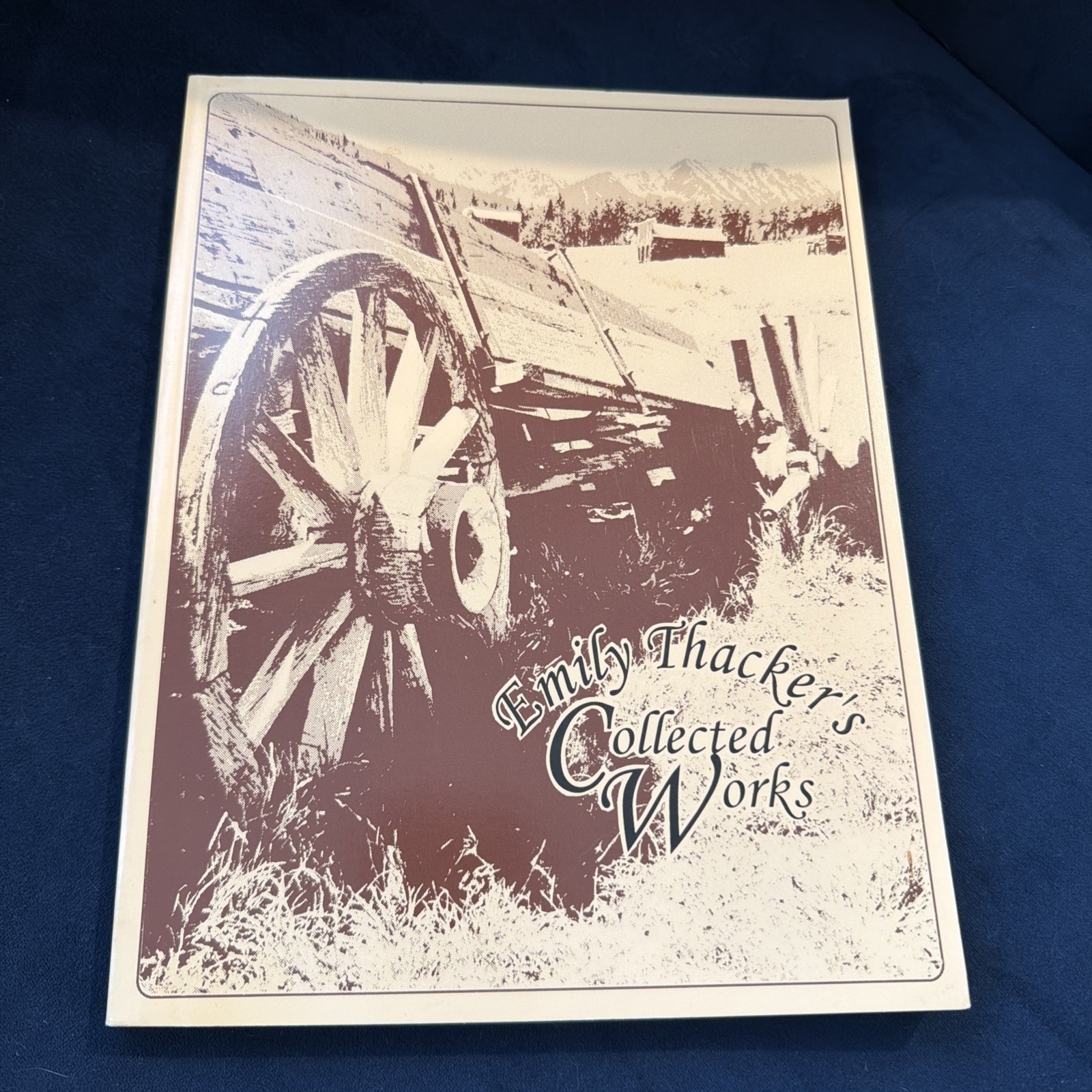 Vtg 1995 Emily Thacker’s Collected Works Home Remedies Of The Old South And More