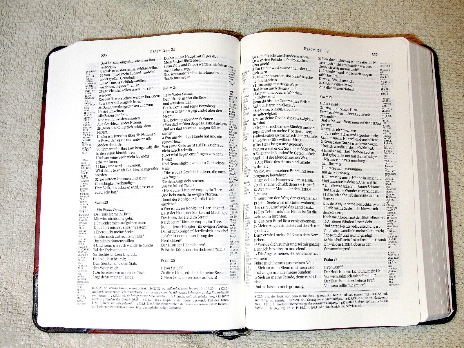 German Bible, Die Bibel, Schlachter 2000, Imitation Leather, Brown Black 2-toned