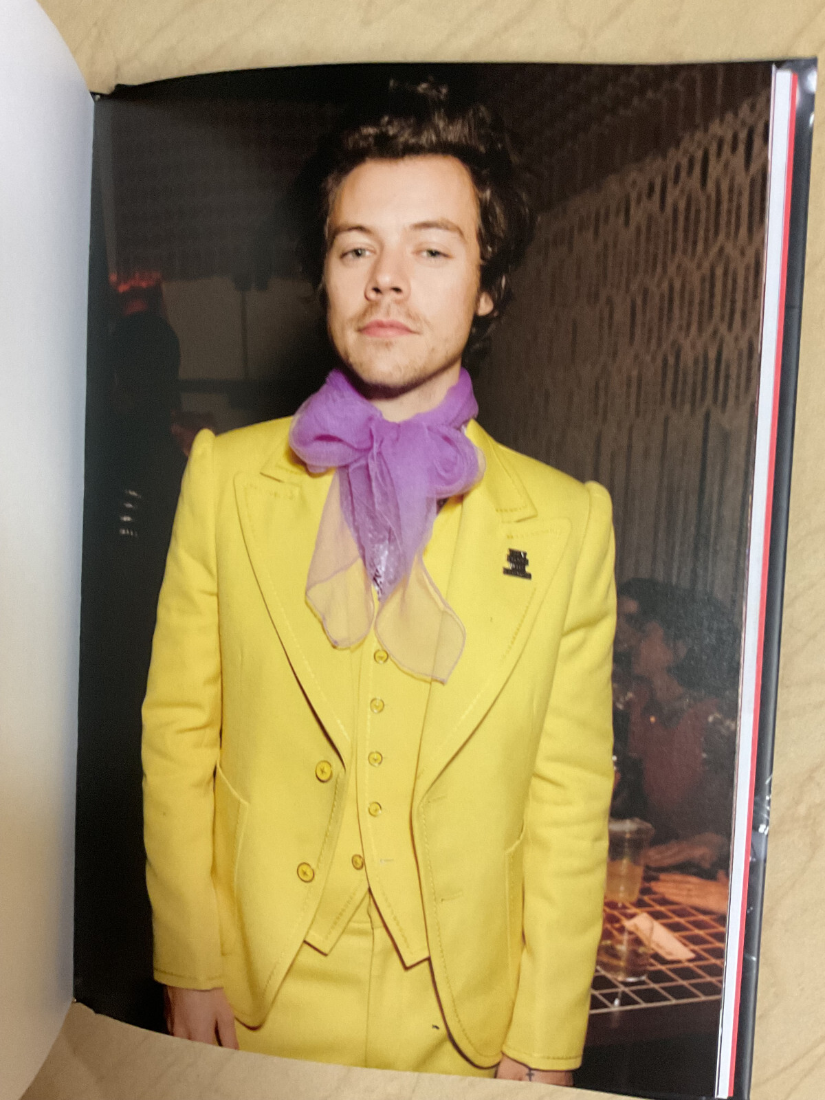 Harry Styles – Hardcover By Bilmes, Alex BRAND NEW 144 pages Retails $19.99