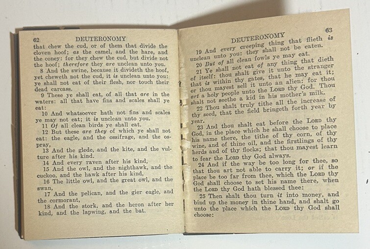 The Holy Bible Deutoronomy Joshua Little Leather Library (Dried Out)