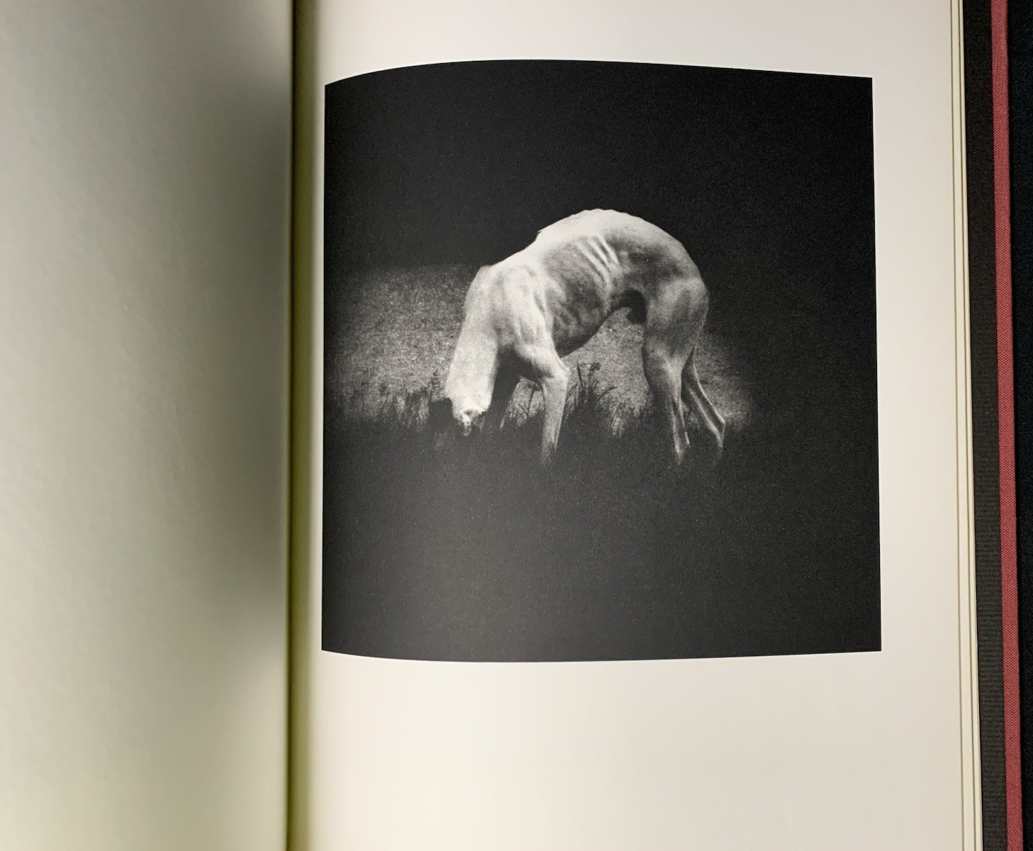 Matt Mahurin SIGNED 1989 Photography 1st Ed Dark Surrealism Nirvana Twelvetrees