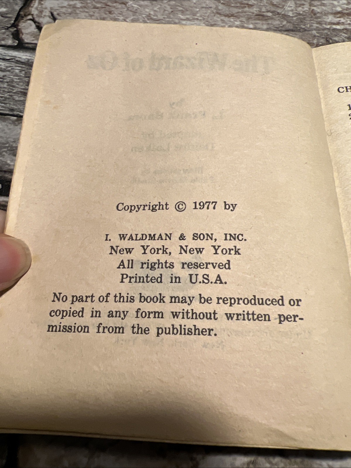 Vintage The Wizard of Oz – L. Frank Baum – Moby Books Illustrated 1977 Mini Book