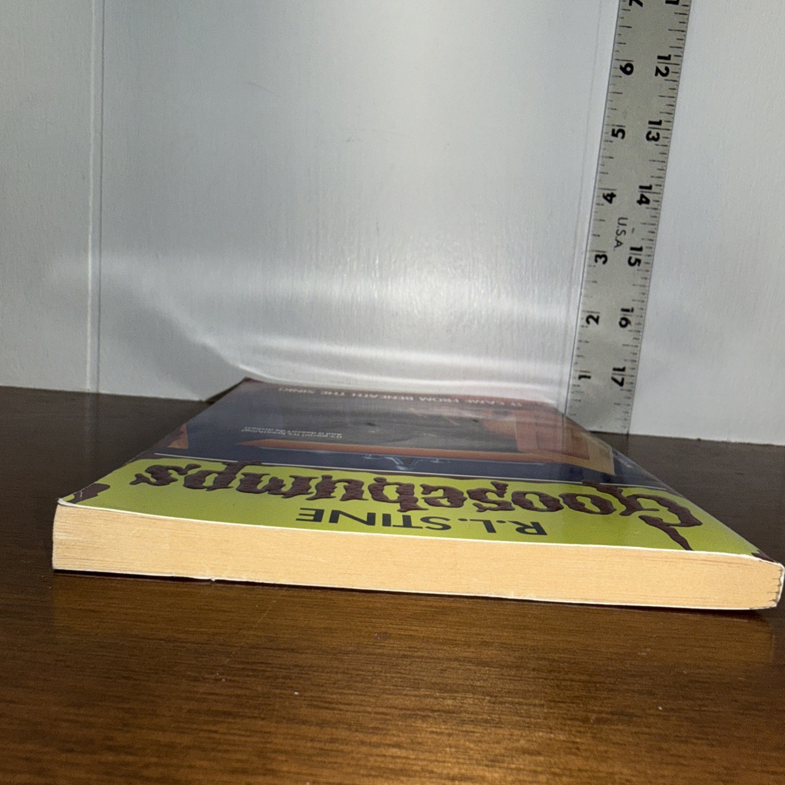 Goosebumps It Came From Beneath the Sink 1st Edition 1st Print 1995 RL Stine #30