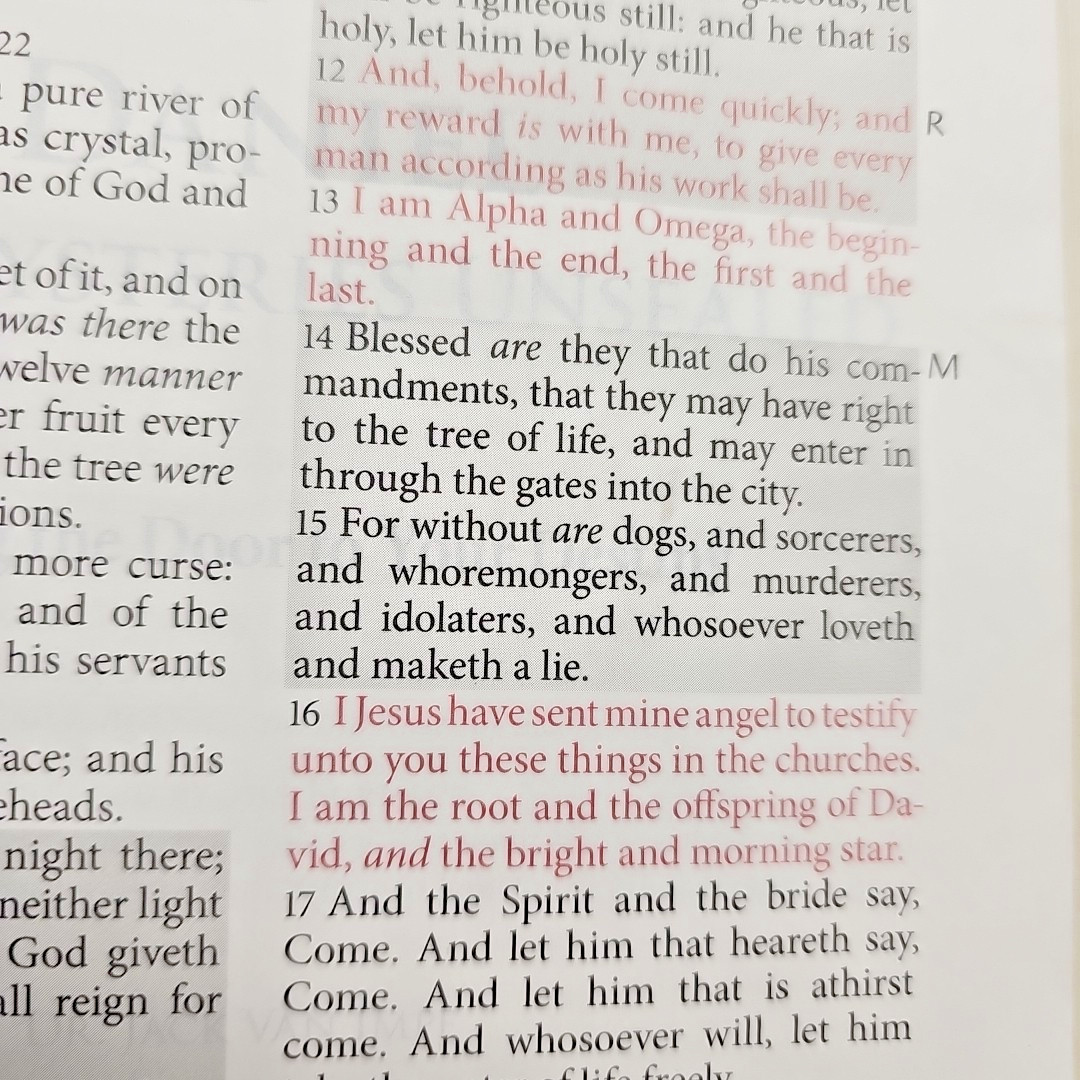 The Jack Van Impe Prophecy Bible KJV Red Letter Limited Edition Leather Bound