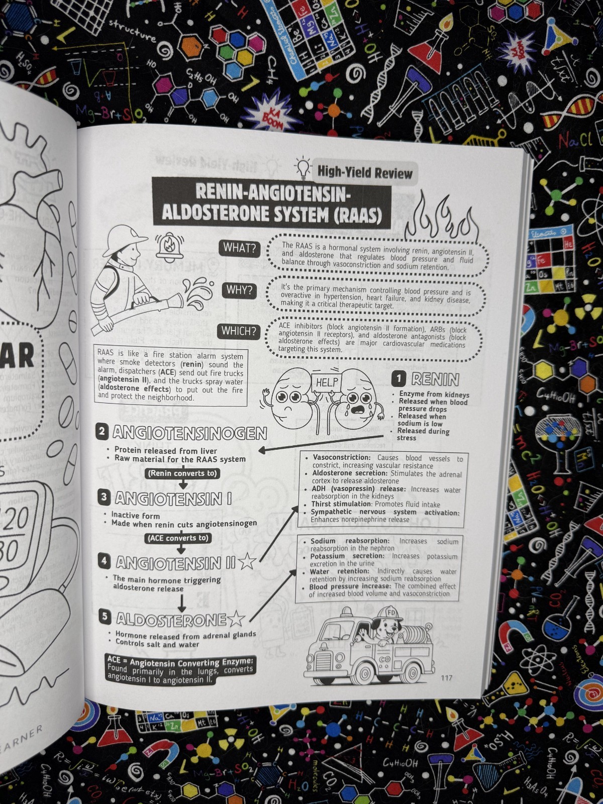 Top 200 Drugs Simplified Coloring Book (P. Burns) | Official Author Direct Copy