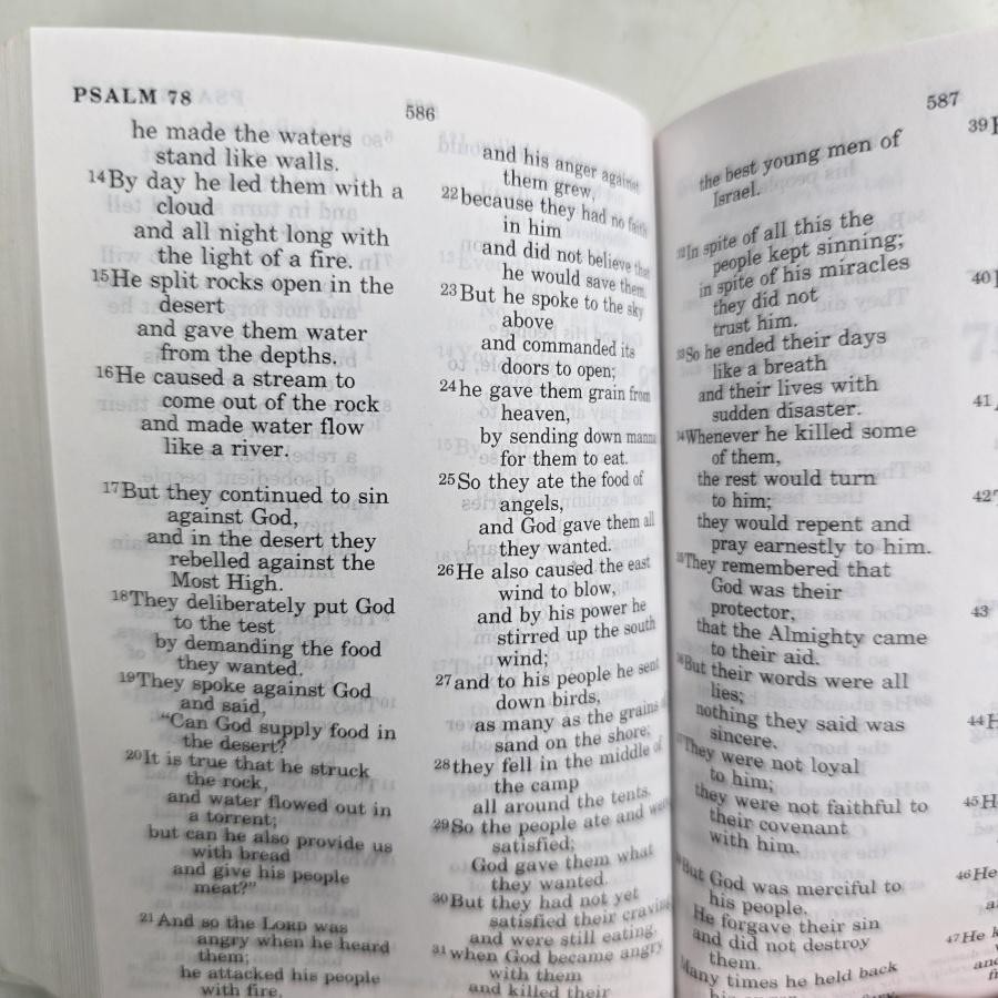 Holy Bible NIV NT Psalms Good News Camo Military Mini 2 Books Vintage Pocket