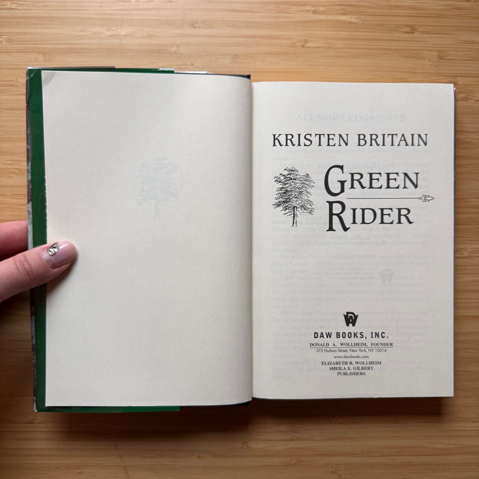 Green Rider by Kristen Britain 1998 Hardcover DAW No. 1102 Vintage Fantasy