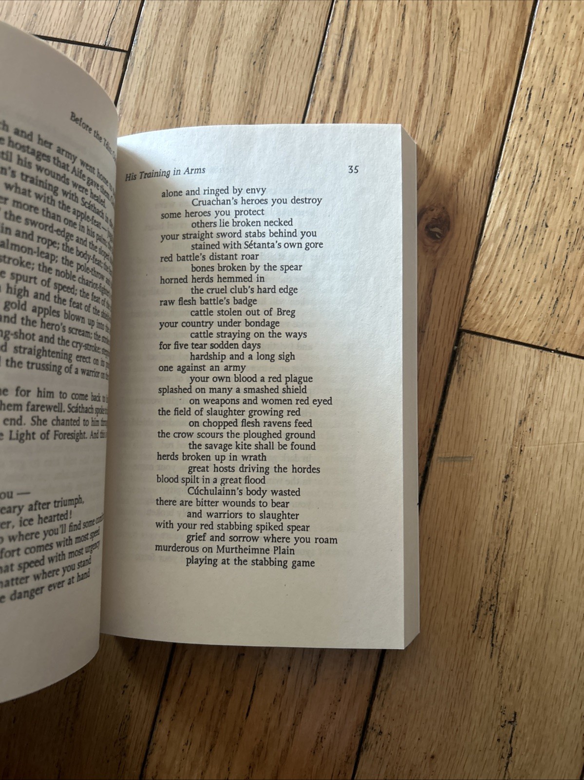Táin by Thomas Kinsella (2002, Uk-Trade Paper) EUC