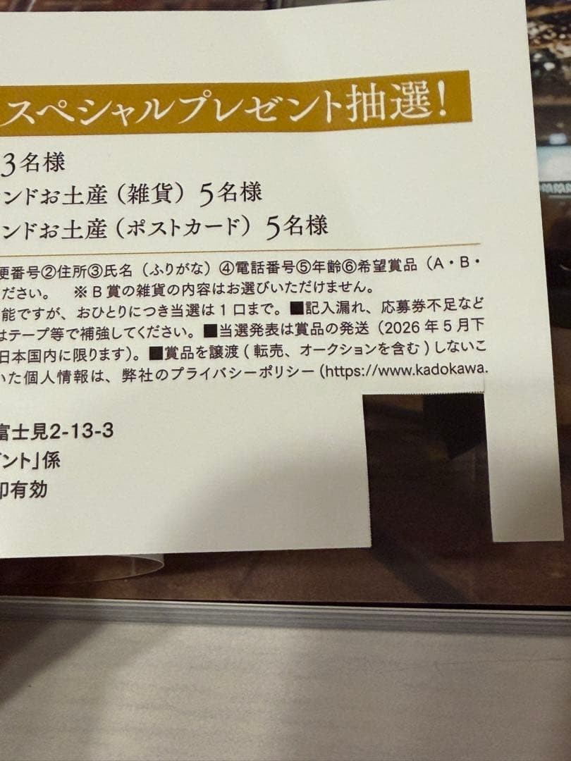 Kokoro Tamura Photo Essay Hardcover 13.8oz 96 pages Japan Book