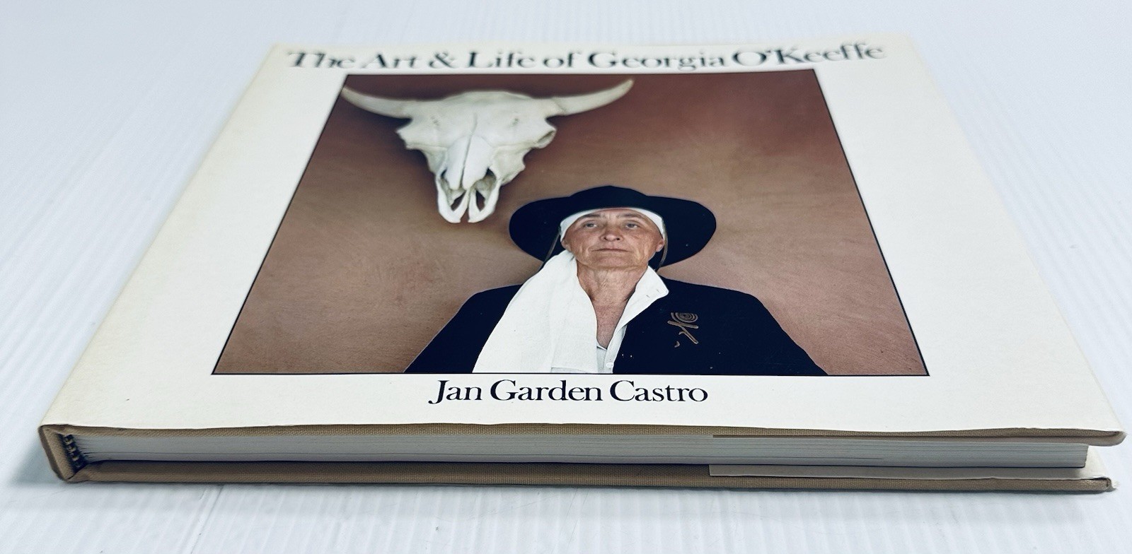 Georgia O Keeffe Art and Life Castro Book with 136 Color Illustrations Edition
