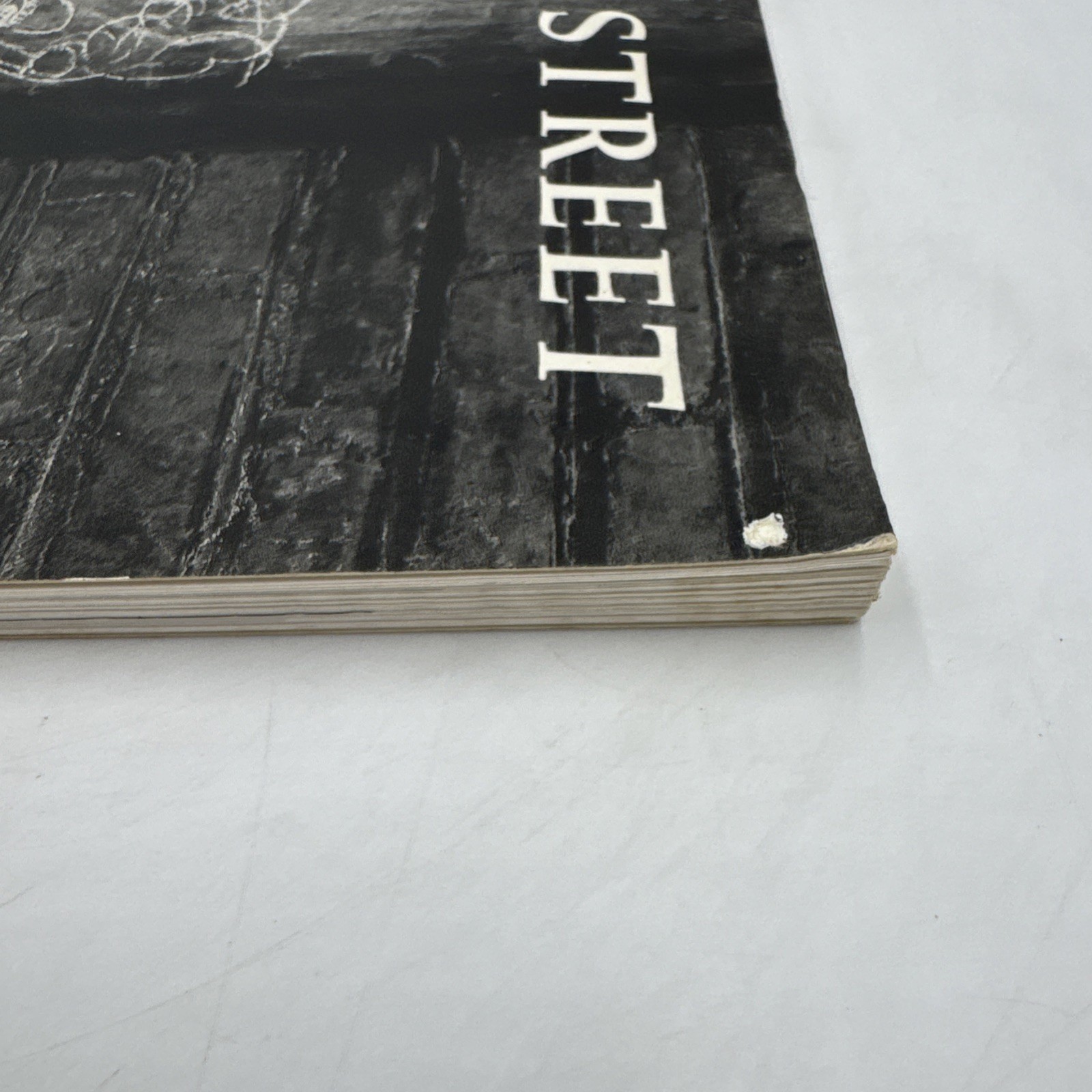 Helen Levitt In The Street 1987 1st Edition PB Chalk Drawings Messages Duke