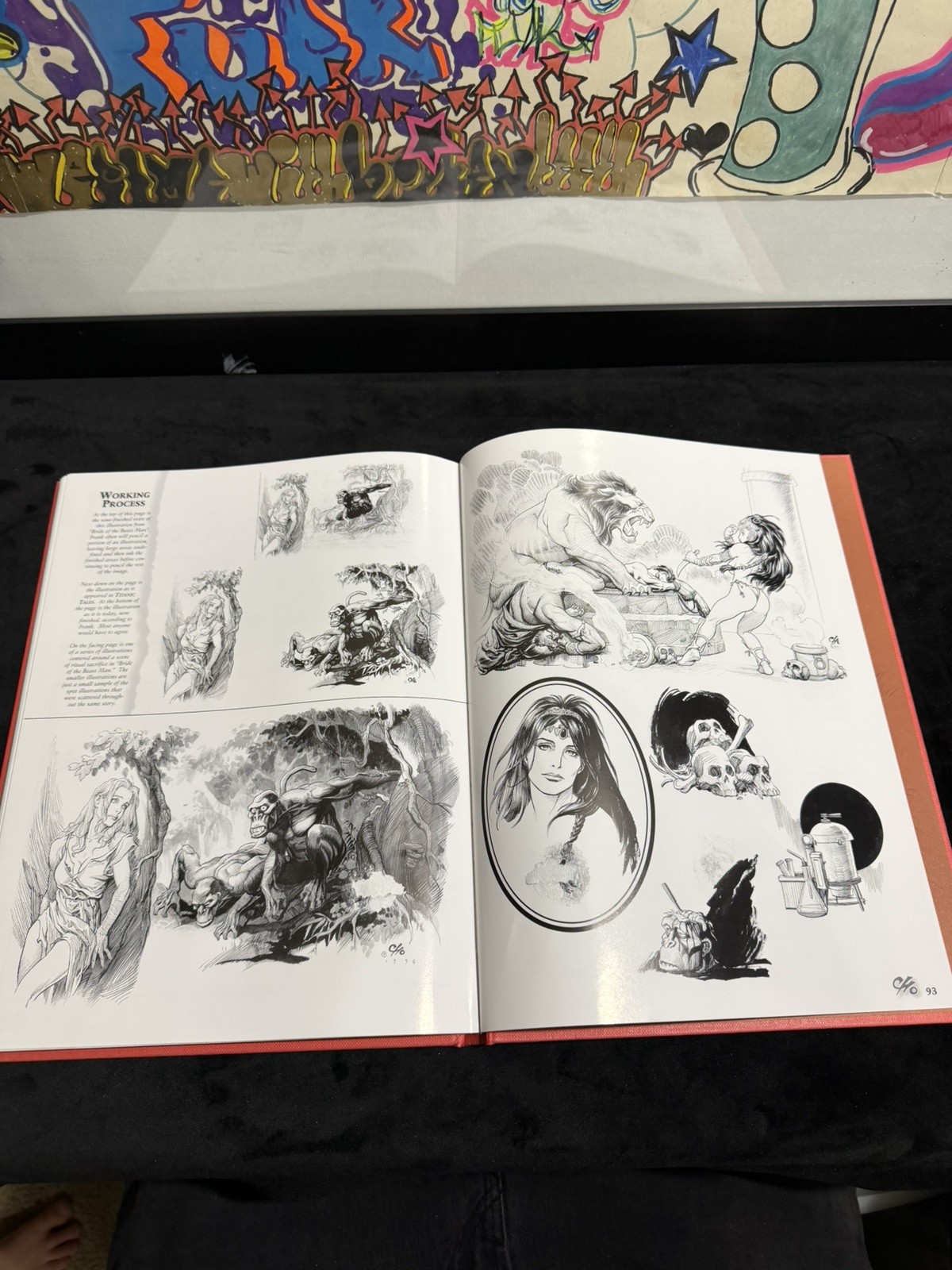 Frank Cho Illustrator, 2000, Hardcover, Regular Edition With Dust Jacket