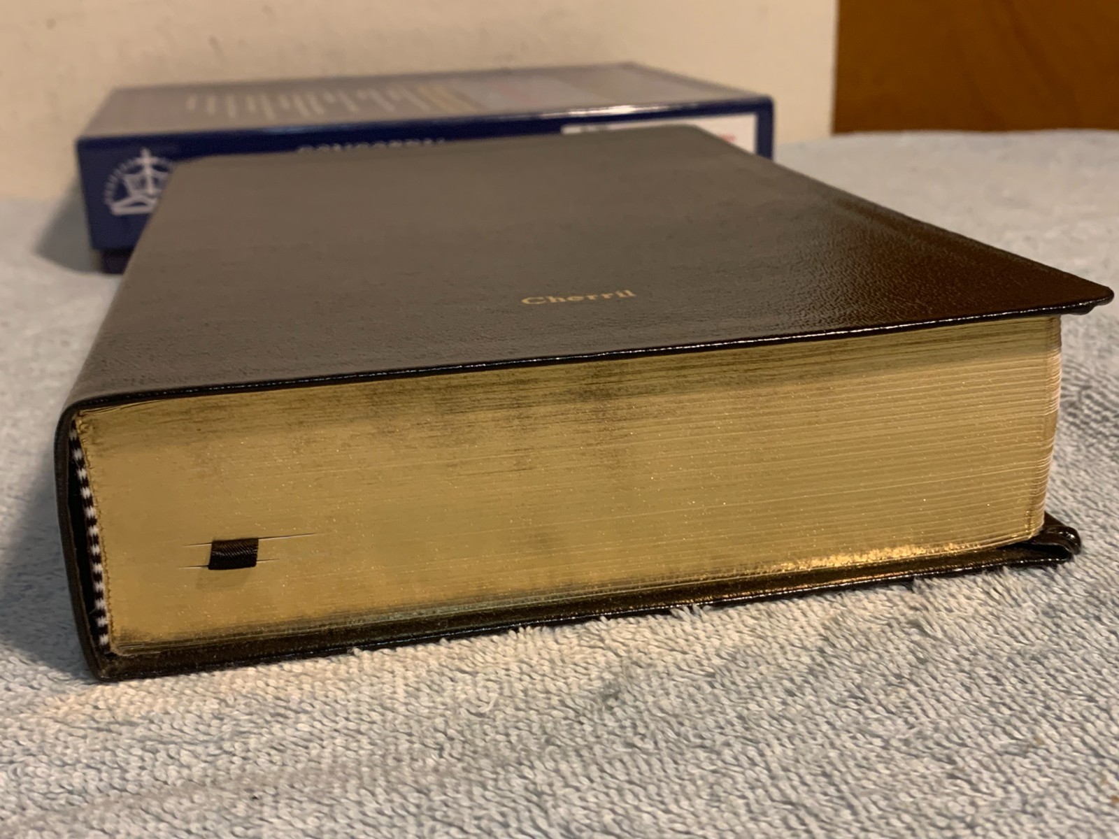Concordia Self-Study Bible NIV Lutheran (Red Letter Ed.) Genuine Leather/Gilt