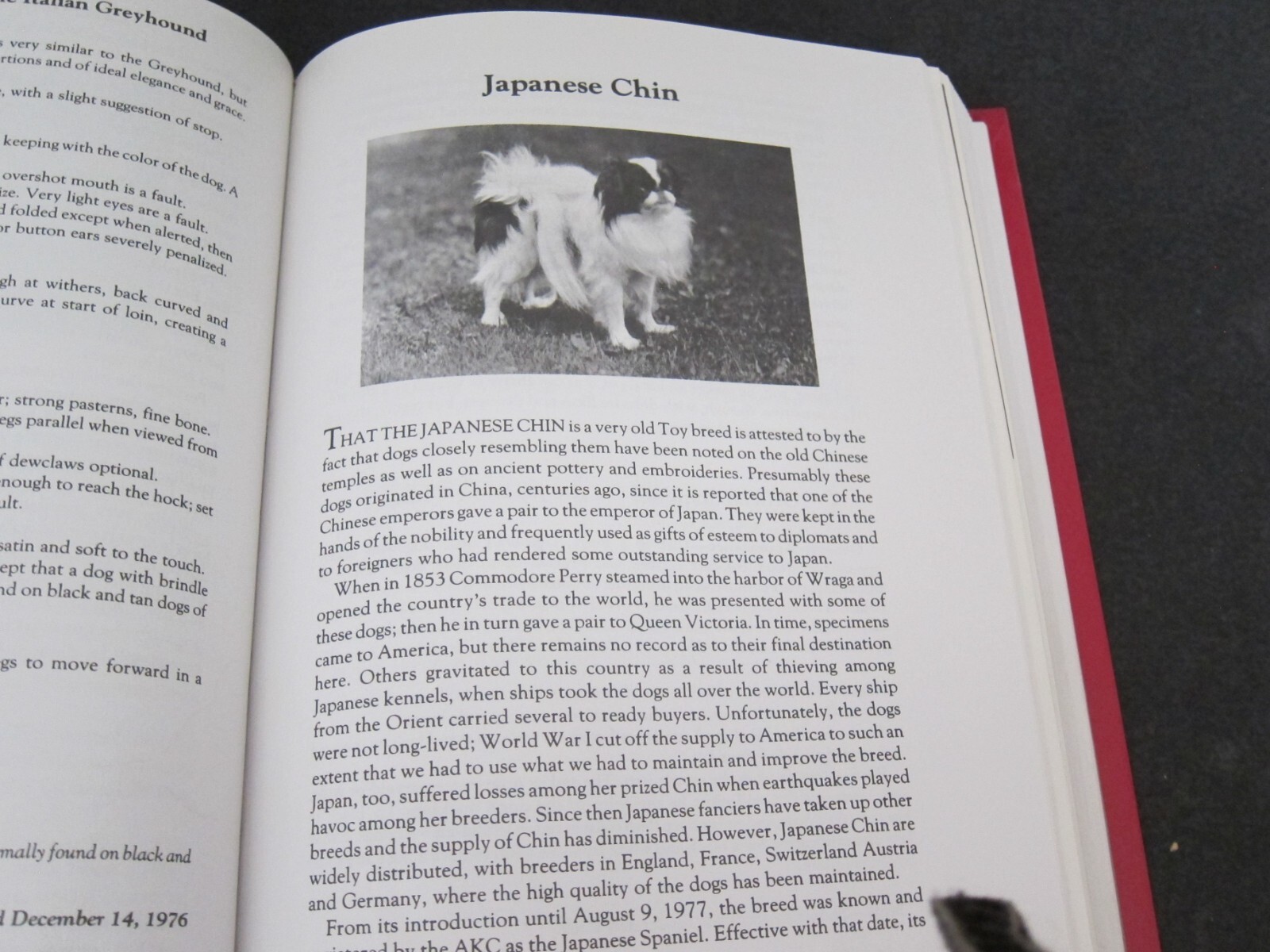 Book-THE COMPLETE DOG BOOK 17TH EDITION,768 PAGES,WELL ILLUSTRATED