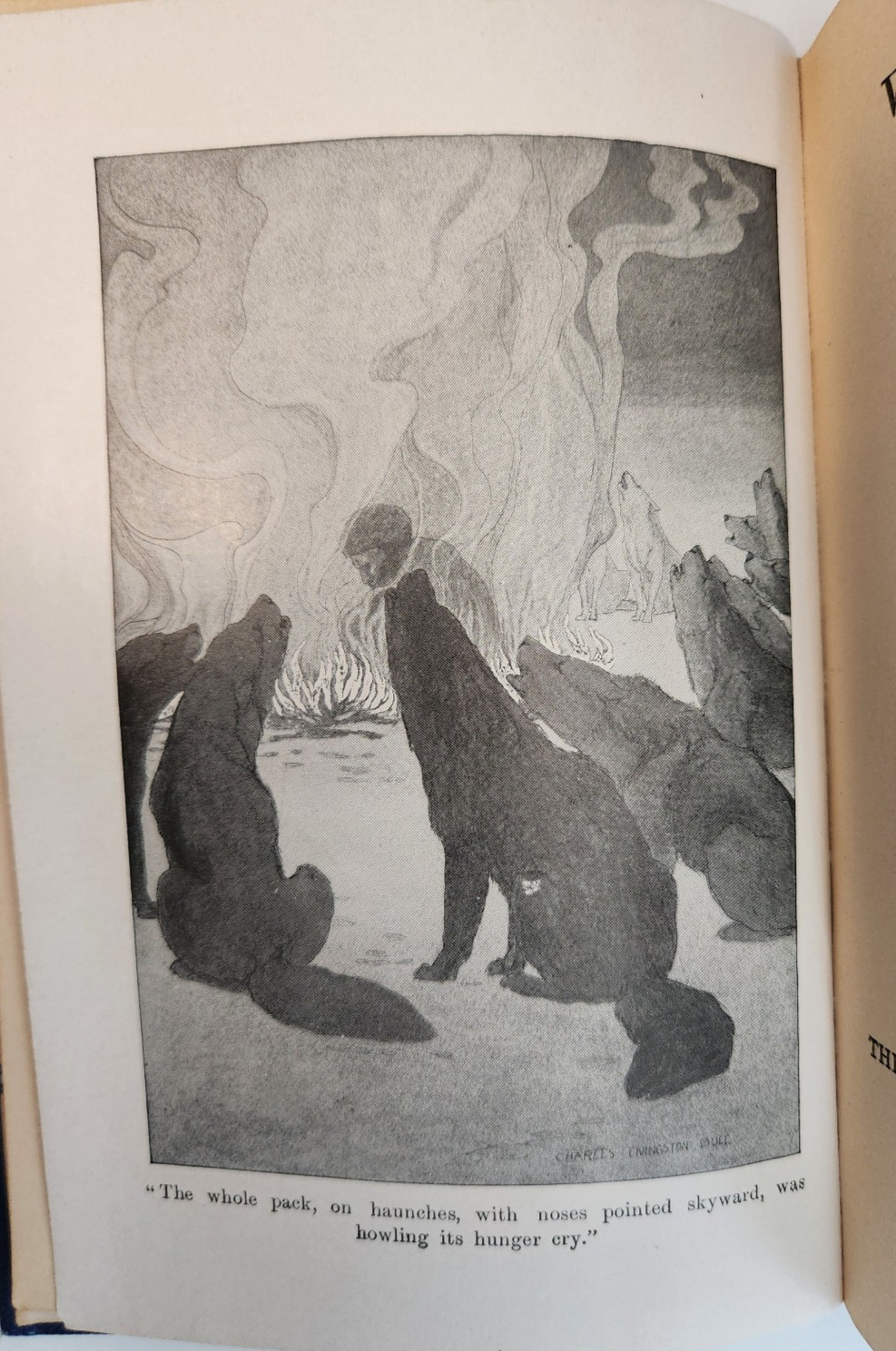 „White Fang“ by Jack London, 1915, MacMillan Company Publishers